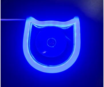 Cat neon sign