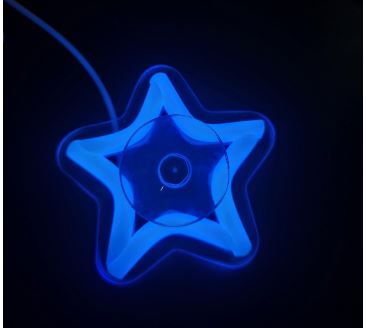 Star neon sign